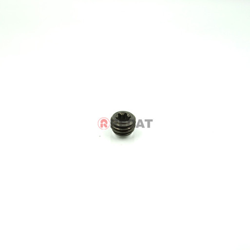 HEADLESS SCREW